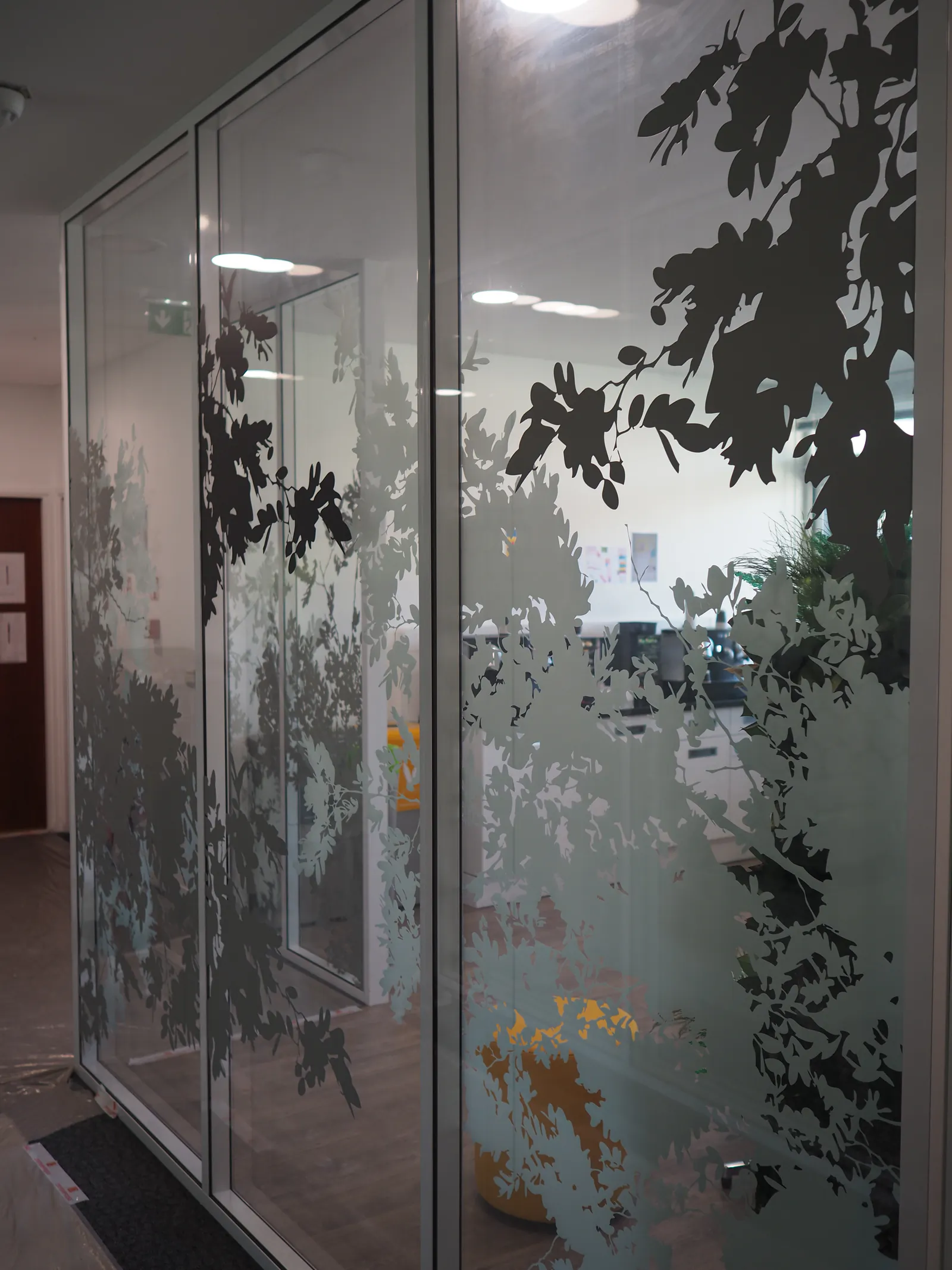 Cloisons vitrées de bureaux Veolia avec feuillages imprimés en sombre et zones dépolies